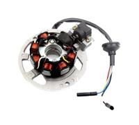 7 Coil 6 Wire Scooter Magneto Stator Compatible With 50cc 2 Stroke Engines Fits Models Like - Hacker Hurricane SP Pixel RY6 RY8 Swan Year 2009