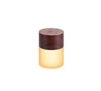 7 Colour Changing Lemelia Light Walnut Rechargeable Gingko Design Brown One Size