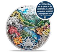 7 Month Sobriety Coin - Recovery Seasonal Landscapes AA Coins - Summer NA HA AA Chips and Medallions - 1-12 Month Clean and Sober Narcotics Alcoholics Anonymous Gifts for Men Women