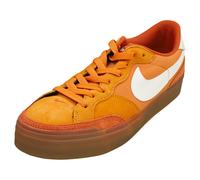 Nike SB Zoom Pogo Plus Mens Casual Trainers in Monarch White - 7 UK