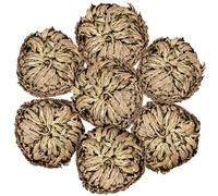 7 Pack Rose of Jericho Dried Plants - Rosa de Jerico Original, Dried Fern Like Scale Leaf Prayer Plants for Spiritual Purification, Home Decor