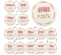 7 Pcs Months Baby Milestone Signs, 3D Pink Baby Monthly Milestone Cards Milestone Wooden Circles for Newborn Boy Girl 1-12 Months Baby Milestone Pictures (Double Sided)