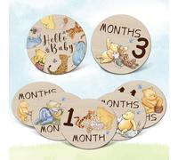7 Pcs Winnie Baby Monthly Milestone Circles, Bear Baby Stuff Wooden Discs for Baby Girl Boy, Double Sides Round Circles Signs for Newborn Photo Prop