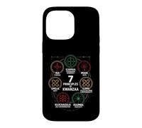 7 Principles of Kwanzaa Nguzo Saba Adinkra Symbols Case for iPhone 14 Pro Max