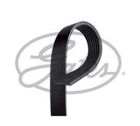7 Rib Multi V Drive Belt 7PK2968 Gates 07C145933E 1750992 CC1Q6C301GA