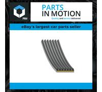 7 Rib Multi V Drive Belt AD07R1065 Blue Print 252122U310 7PK1062EST 7PK1063EST