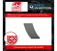 FEBI BILSTEIN 177663 Serpentine belt