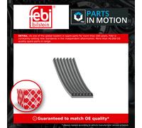 7 Rib Multi V Drive Belt fits RENAULT MASTER Mk3 2.3D 2010 on 117205152R Febi
