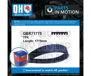 7 Rib Multi V Drive Belt QBR71775 Quinton Hazell 38920PNA003 38920PNA004 7PK1772