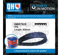 7 Rib Multi V Drive Belt QBR7925 Quinton Hazell 9936700920 9936750920 99367E11