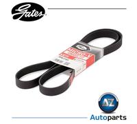 GATES 7PK1785 Micro-V Xf Ribbed V-Belt