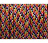 7 Strand Core 550lb Paracord Parachute Cord Lanyard Mil Spec Type III-100ft (Bright Rainbow(77#))