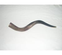 70-79 cm (28"-31") Kudu Yemenite HORN SHOFAR KosherALL Polished New
