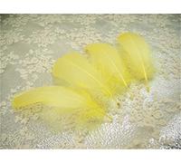 70 Colours Loose Goose Feathers for Millinery Hat Trimming Fascinators Craft Decorating Lamp Shades Costume Trim (Primrose #10, 10 Pieces)