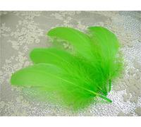 70 Colours Loose Goose Feathers for Millinery Hat Trimming Fascinators Craft Decorating Lamp Shades Costume Trim (Pea Green #54, 25 Pieces)