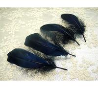 70 Colours Loose Goose Feathers for Millinery Hat Trimming Fascinators Craft Decorating Lamp Shades Costume Trim (Navy #02, 10 Pieces)