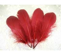 70 Colours Loose Goose Feathers for Millinery Hat Trimming Fascinators Craft Decorating Lamp Shades Costume Trim (Cranberry #23, 10 Pieces)