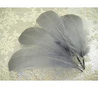 70 Colours Loose Goose Feathers for Millinery Hat Trimming Fascinators Craft Decorating Lamp Shades Costume Trim (Intense #49, 10 Pieces)