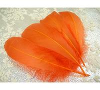 70 Colours Loose Goose Feathers for Millinery Hat Trimming Fascinators Craft Decorating Lamp Shades Costume Trim (Paprika #38, 10 Pieces)