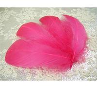 70 Colours Loose Goose Feathers for Millinery Hat Trimming Fascinators Craft Decorating Lamp Shades Costume Trim (Sweet Pink #19, 10 Pieces)