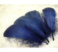 70 Colours Loose Goose Feathers for Millinery Hat Trimming Fascinators Craft Decorating Lamp Shades Costume Trim (Dramatic #47, 10 Pieces)