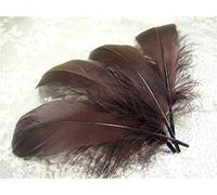 70 Colours Loose Goose Feathers for Millinery Hat Trimming Fascinators Craft Decorating Lamp Shades Costume Trim (Coffee #25, 10 Pieces)