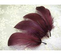 70 Colours Loose Goose Feathers for Millinery Hat Trimming Fascinators Craft Decorating Lamp Shades Costume Trim (Aubergine #45, 10 Pieces)