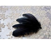 70 Colours Loose Goose Feathers for Millinery Hat Trimming Fascinators Craft Decorating Lamp Shades Costume Trim (Black #01, 25 Pieces)