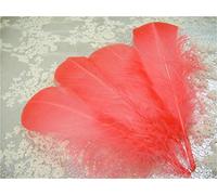 70 Colours Loose Goose Feathers for Millinery Hat Trimming Fascinators Craft Decorating Lamp Shades Costume Trim (Coral #39, 25 Pieces)