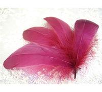 70 Colours Loose Goose Feathers for Millinery Hat Trimming Fascinators Craft Decorating Lamp Shades Costume Trim (Magenta #77, 25 Pieces)