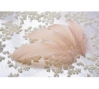 70 Colours Loose Goose Feathers for Millinery Hat Trimming Fascinators Craft Decorating Lamp Shades Costume Trim (Nude #67, 25 Pieces)