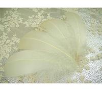 70 Colours Loose Goose Feathers for Millinery Hat Trimming Fascinators Craft Decorating Lamp Shades Costume Trim (Stone #53, 25 Pieces)