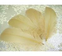 70 Colours Loose Goose Feathers for Millinery Hat Trimming Fascinators Craft Decorating Lamp Shades Costume Trim (Almond #44, 10 Pieces)