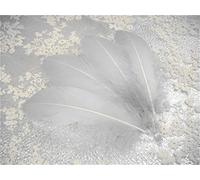 70 Colours Loose Goose Feathers for Millinery Hat Trimming Fascinators Craft Decorating Lamp Shades Costume Trim (Silver #07, 10 Pieces)