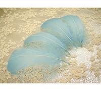 70 Colours Loose Goose Feathers for Millinery Hat Trimming Fascinators Craft Decorating Lamp Shades Costume Trim (Blue #11, 25 Pieces)