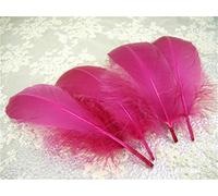 70 Colours Loose Goose Feathers for Millinery Hat Trimming Fascinators Craft Decorating Lamp Shades Costume Trim (Freesia #65, 25 Pieces)
