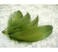 70 Colours Loose Goose Feathers for Millinery Hat Trimming Fascinators Craft Decorating Lamp Shades Costume Trim (Olive #33, 25 Pieces)