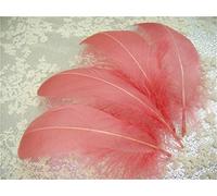 70 Colours Loose Goose Feathers for Millinery Hat Trimming Fascinators Craft Decorating Lamp Shades Costume Trim (Rose #24, 10 Pieces)