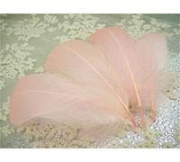 70 Colours Loose Goose Feathers for Millinery Hat Trimming Fascinators Craft Decorating Lamp Shades Costume Trim (Clover #16, 25 Pieces)