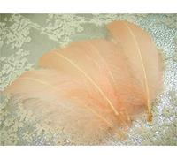 70 Colours Loose Goose Feathers for Millinery Hat Trimming Fascinators Craft Decorating Lamp Shades Costume Trim (Apricot #35, 25 Pieces)