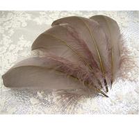 70 Colours Loose Goose Feathers for Millinery Hat Trimming Fascinators Craft Decorating Lamp Shades Costume Trim (Moccha #74, 10 Pieces)