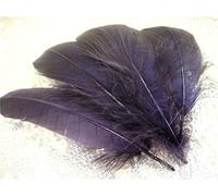 70 Colours Loose Goose Feathers for Millinery Hat Trimming Fascinators Craft Decorating Lamp Shades Costume Trim (Blackcurrant #70, 10 Pieces)