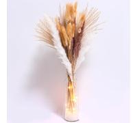 70 Pcs Dried Flowers for Vase with String Light, Dried Pampas Grass with Round Vase Bouquet Boho Table Decor Dry Flowers for Ddecoration Wedding Home Vasen Decor