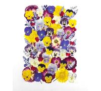 70 Pcs Edible Dried Pressed Flowers for Cake Decorating, Natural Rose & Viola & Marigold & Lavender Mix, Food Safe for Resin Jewelry, Candle Making, Potpourri, Frame & Dessert Decoration