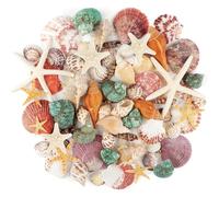 70+ Pcs Natural Seashells, Mixed Starfish Sea Shells for Crafts, Various Sizes Ocean Shells Conch for Decorating, Beach Theme Party, DIY Crafts, Fish Tank Filling, Home Decor, Wedding Decoration