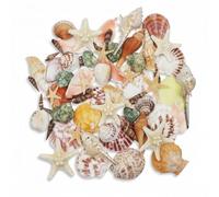 70+ Pcs Natural Seashells, Mixed Starfish Sea Shells for Crafts, Various Sizes Ocean Shells Conch for Decorating, Beach Theme Party, DIY Crafts, Fish Tank Filling, Home Decor, Wedding Decoration
