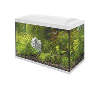 Superfish Start 70 Aquarium - White