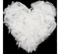 700pcs White Feathers for Crafts, Natural Goose Feathers White Feather Fantasy Ornament, Feathers Bulk for DIY Decoration Handmade Crafts Wedding Dream Catchers (White)