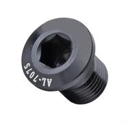 7075 Aluminum Alloy Chain Screw for Derailleur Hanger Extension and Chain Guide Support Using M10 P1.0 (black)
