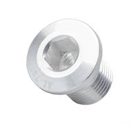 7075 Aluminum Alloy Chain Screw for Derailleur Hanger Extension and Chain Guide Support Using M10 P1.0 (silver)